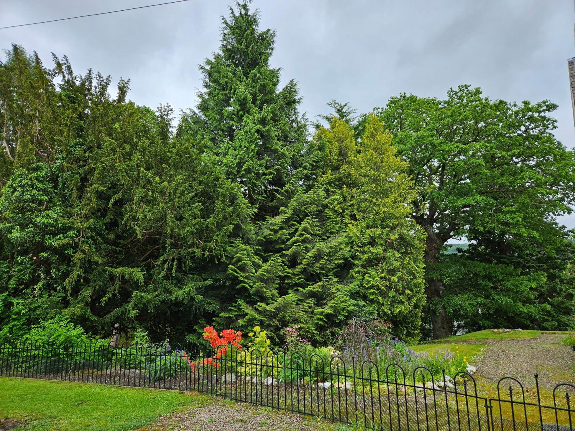 Cosy Peaceful One-Bedroom Cottage In Pitlochry Exteriör bild